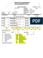 Resumen Liquidacion IMSS