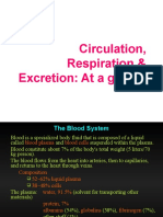 Circulation, Respiration & Excretion: at A Glance