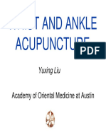 Yuxing Liu - Wrist and Ankle Acupuncture