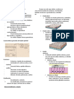 Tejido Epitelial - S1 - Histología - Completo