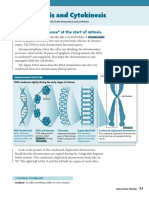 Mitosis Worksheet