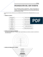 Niveles de Organización de Los Seres Vivientes