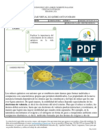 Guía 1 de Aprendizaje Virtual 2021 Química Grado Octavo