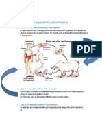 Taller Intro Parasitologia