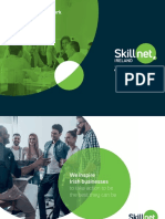 Skillnet Ireland - Network Brand Guidelines