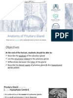 1-Anatomy of The Pituitary Gland (Updated)