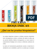 Pruebas Bioquimicas