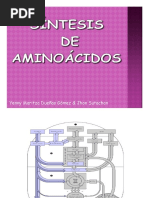 Sintesis Amino Acidos 102213