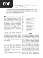 Hypoxic Ischemic EncephalopathyWhat Can We Learn From Humans