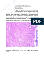 1° Practica de Ii Fase - Patología I