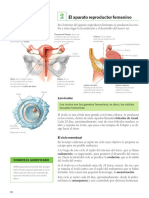 Aparatos Reproductores Fichas