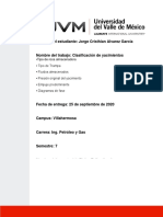 Trabajo1 - Clasificacion de Yacimientos