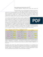 Oxidación Completa Del Ácido Linoléico