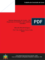 Sistema Integrado de Gestão - SIG em SMS (Segurança Do Trabalho, Meio Ambiente e Saúde Do Trabalho) Ricardo Bissoli Krügner