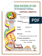 Mapa Mental Sobre Los Programas y Evidencias de Auditoria. (REPORTE Nro. 1)