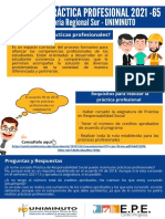 Instructivo Práctica Profesional 2021-65