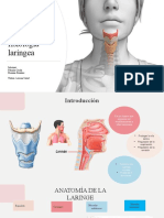 Anatomía y Fisiología de La Laringe