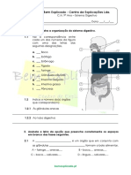 B.1.3 - Ficha de Trabalho - Sistema Digestivo