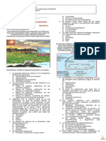 Taller Nivelación Ciclosbiogeoquimicos 8 IIP