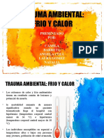 Trauma Ambiental Final