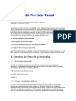 Pruebas de Funcion Renal