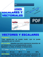 Escalares y Vectores