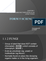 Form 5 Science: Microorganisms and Their Effects On Living Things