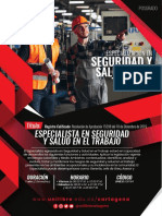 Esp. Seguridad y Salud en El Trabajo