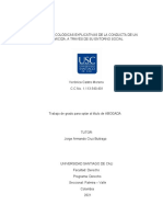 TEORÍAS PSICOLÓGICAS EXPLICATIVAS DE LA CONDUCTA DE UN ASESINO, A TRÁVES DE SU ENTORNO SOCIAL (Con Comentarios)