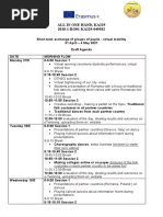 LTTA Agenda, Romania - Virtual Mobility