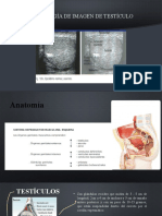 Radiología de Imagen de Testículo