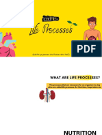 Life Processes