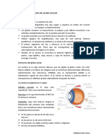 2 Parcial Pat. Quir. Parpados, Globo Ocular, Corazón.