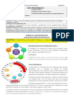 Guía N°9 Ciencias 7°básico