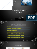 Ecografia Del Codo Ipt 18-04-2021