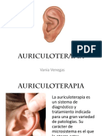 Auriculoterapia Seminario