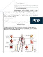 Guia 3 Biologia Septimo