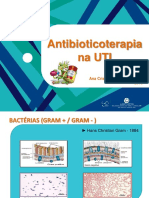 Antibioticoterapia