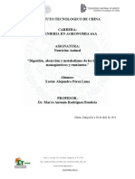 Absorcion, Digestión y Metabolismo de Los Lipidos, Mono y Poligastricos