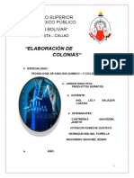 Informe Colonia