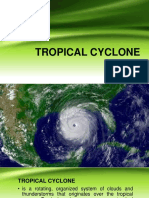 Tropical Cyclone