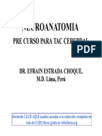 Neuroanatomía Autor Dr. Efrain Estrada Choque