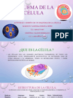 Esquema de La Célula