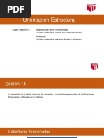 Orientacion Estructural - S14 - 10.12