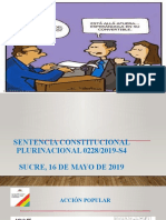 Sentencia Constitucional Plurinacional 0228