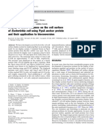 T Display of Active Enzymes On The Cell Surface of Escherichia Coli Using PgsA Anchor Protein and Their Application To Bioconversion