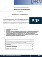 Final Assignment - Brief Guidelines