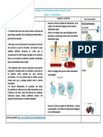 1°spe Fiche Bilan Immuno C1