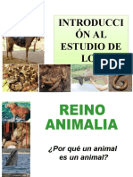 Tema 4 Clase ANIMALES PROP BIO 2014