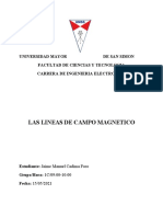 Informe Lineas de Campo Magnetico